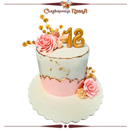 Пълнолетие  T66