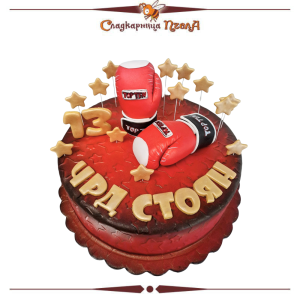 Боксови ръкавици DE102