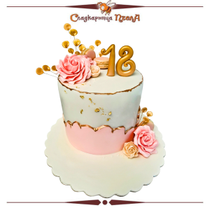 Пълнолетие  T66